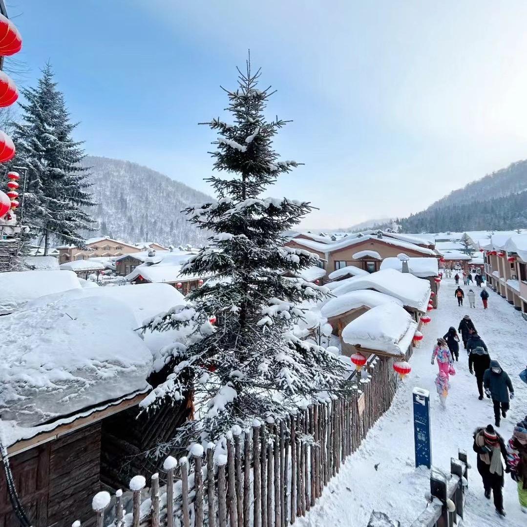 哈尔滨包车司机小飞