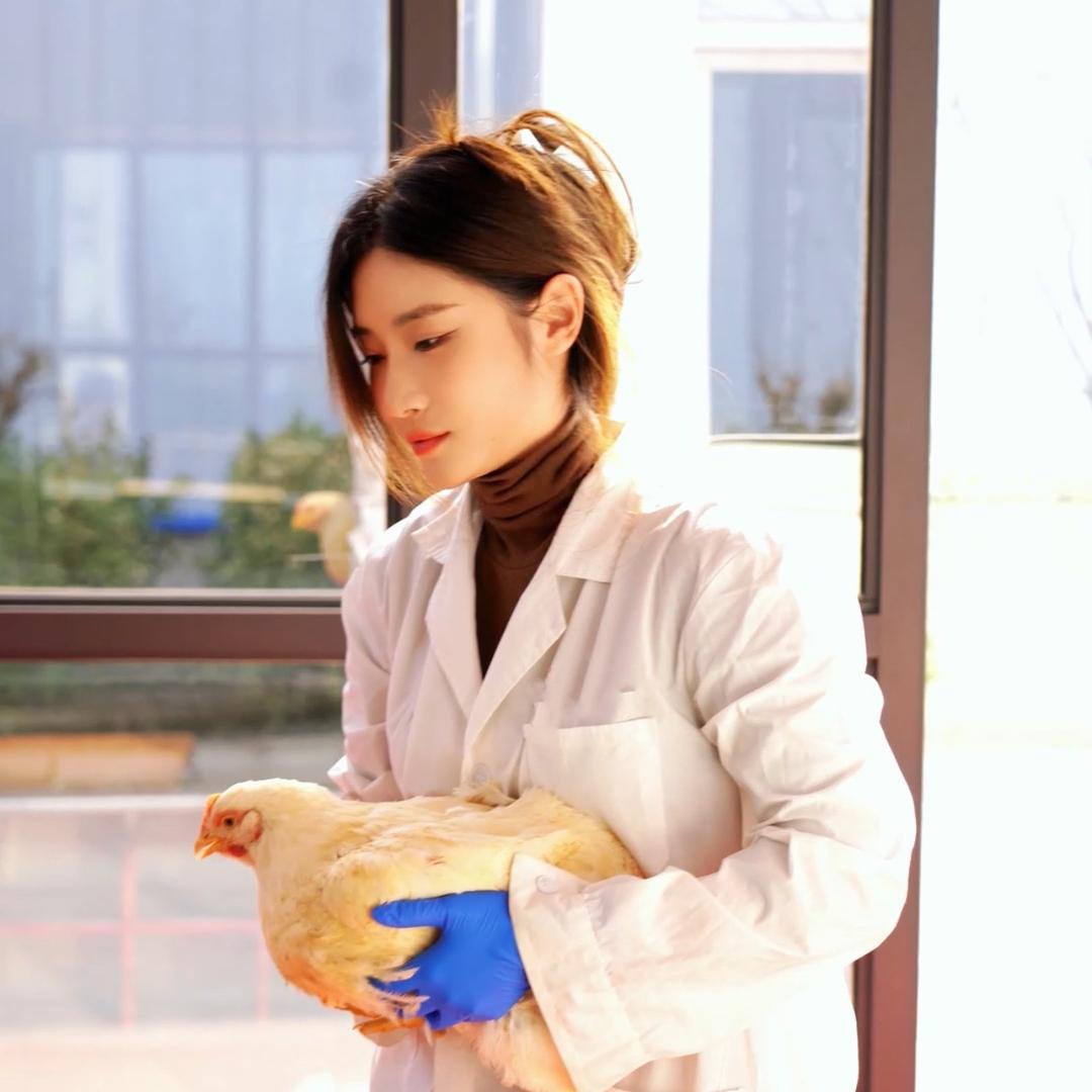 任莹莹