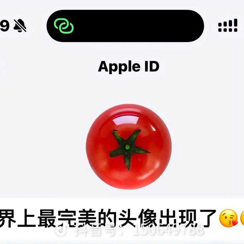 百分百空手接白刃