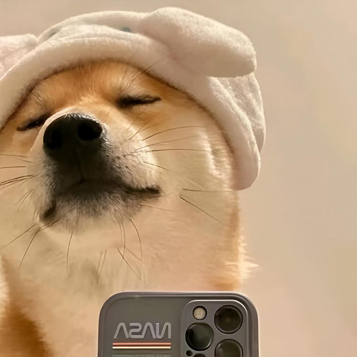 多米装饰严选店