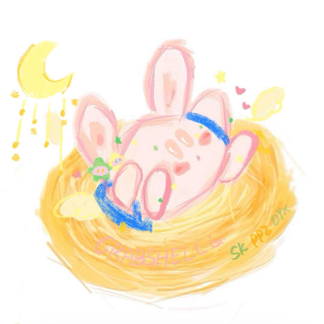 CraBshell蟹壳-