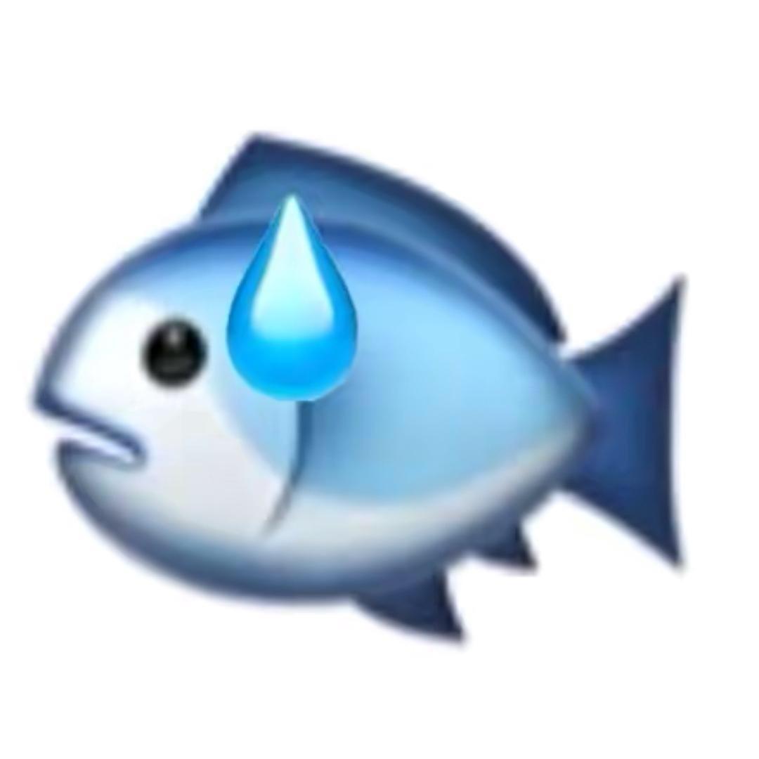 小🐟尔