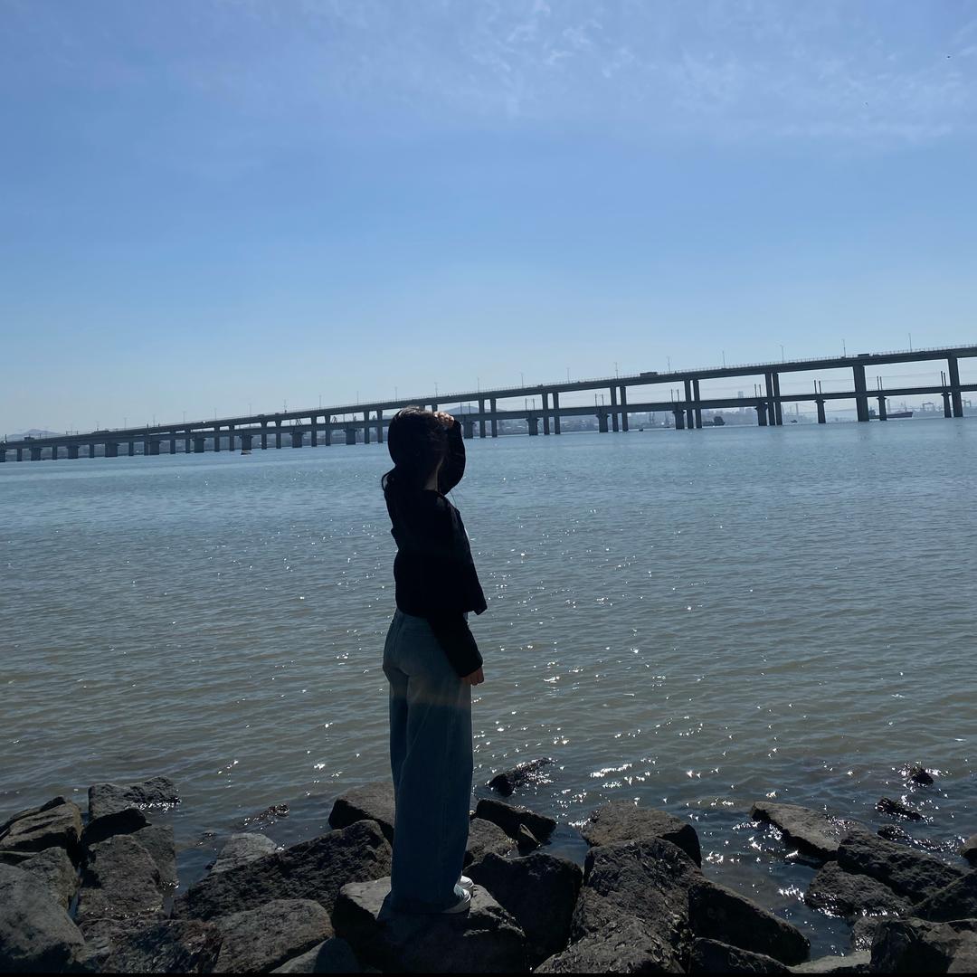 TV家的电视机📺