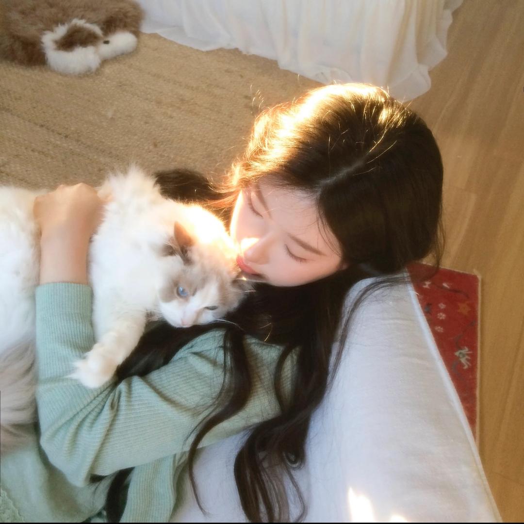 猫咪
