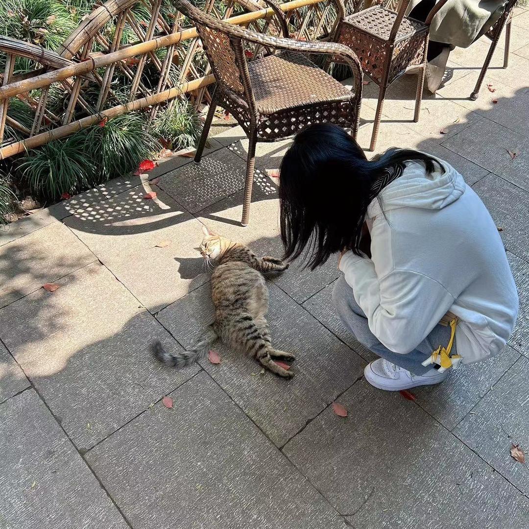 迟乐乐啊✨