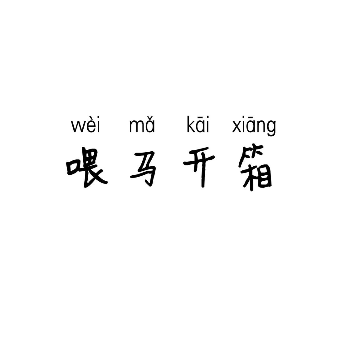 喂马开箱