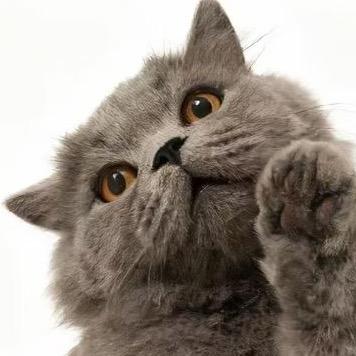 02年luna爱吃ice cream