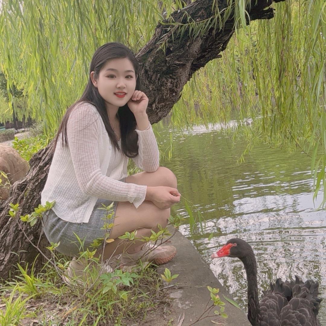 粤K小燕子