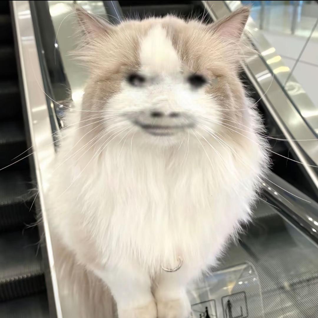 土土uu