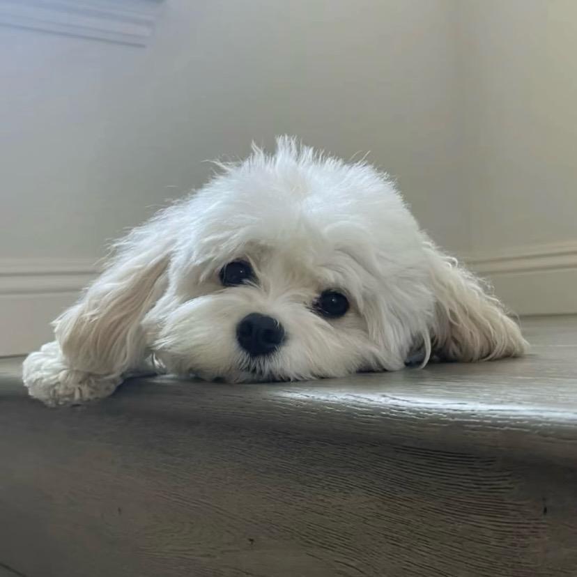 别睡了💤