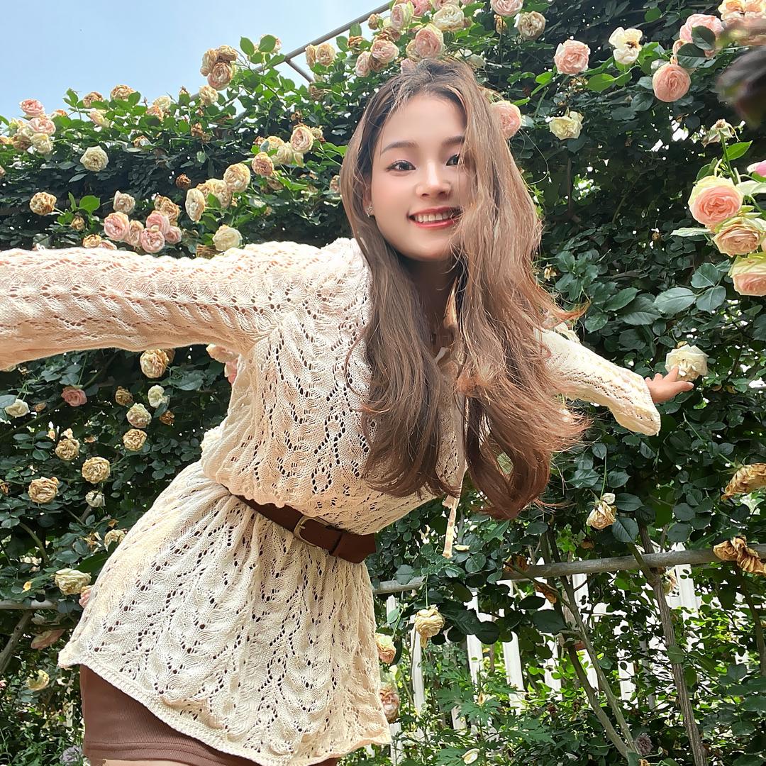 🕊️小燕子
