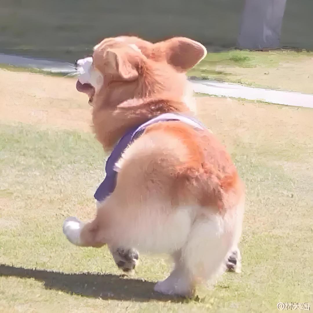 雷