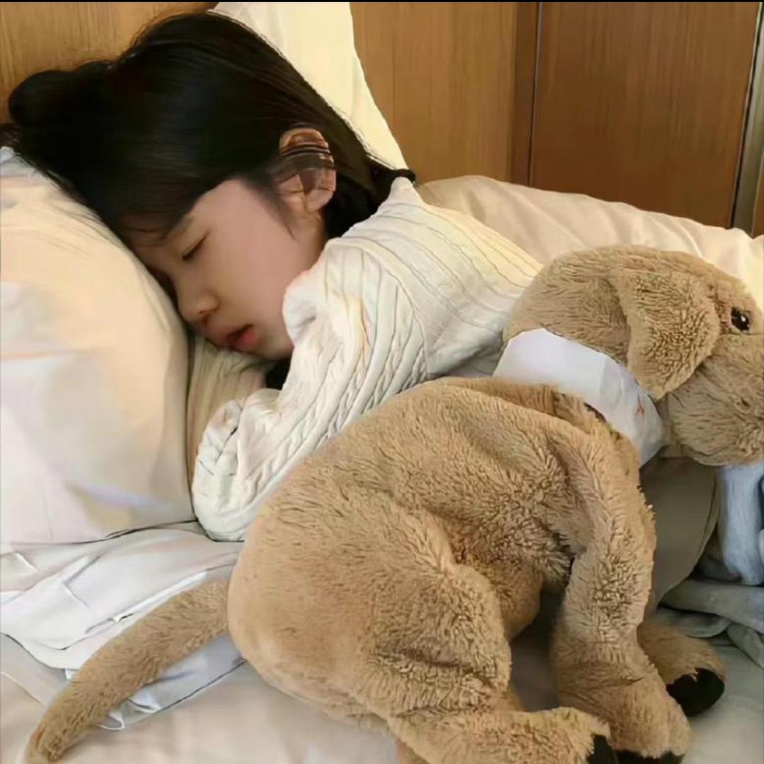 舟舟๑