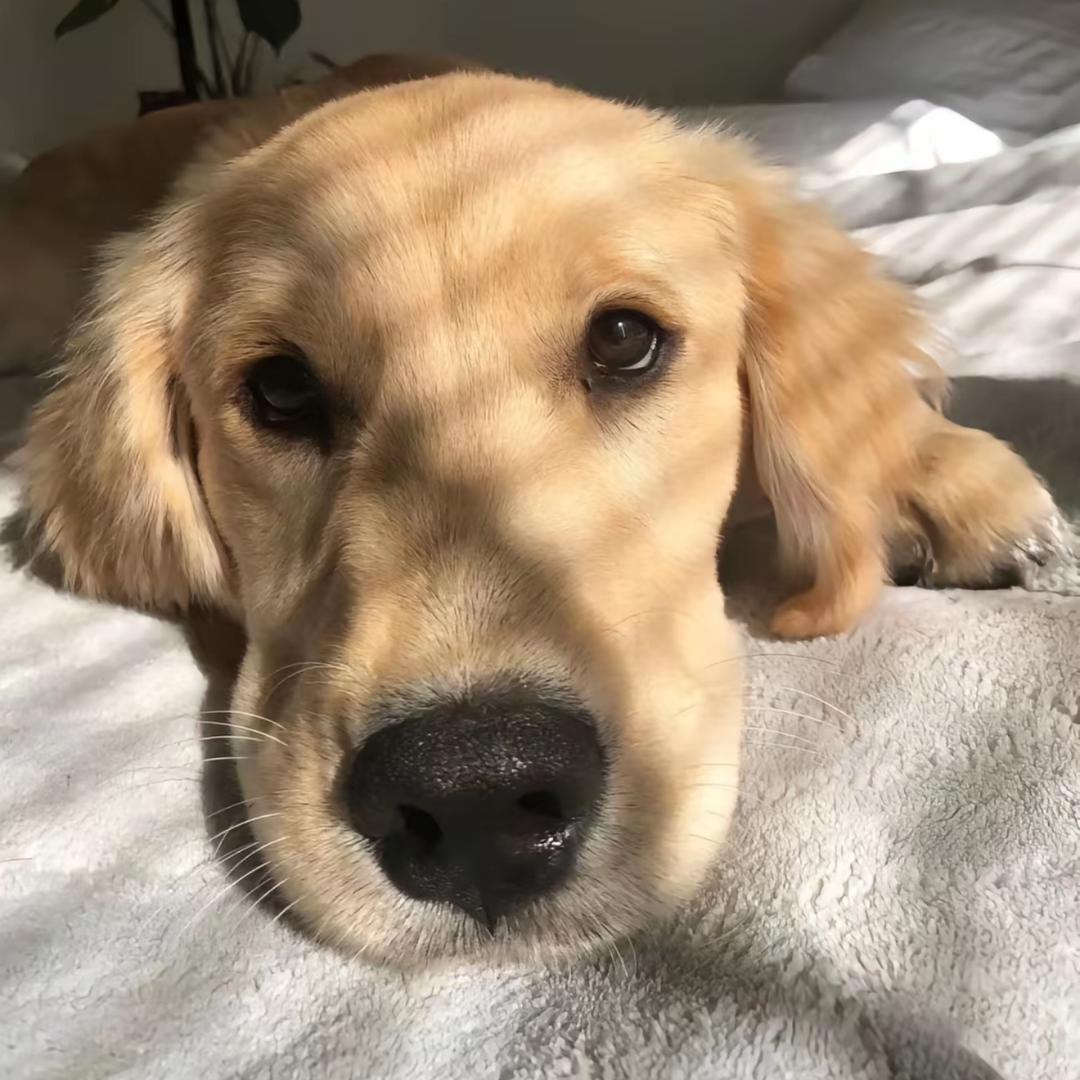 ˡᵒᵛᴱ