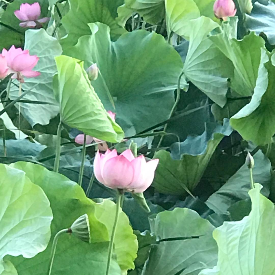 佛山双奇金属制品有限公司