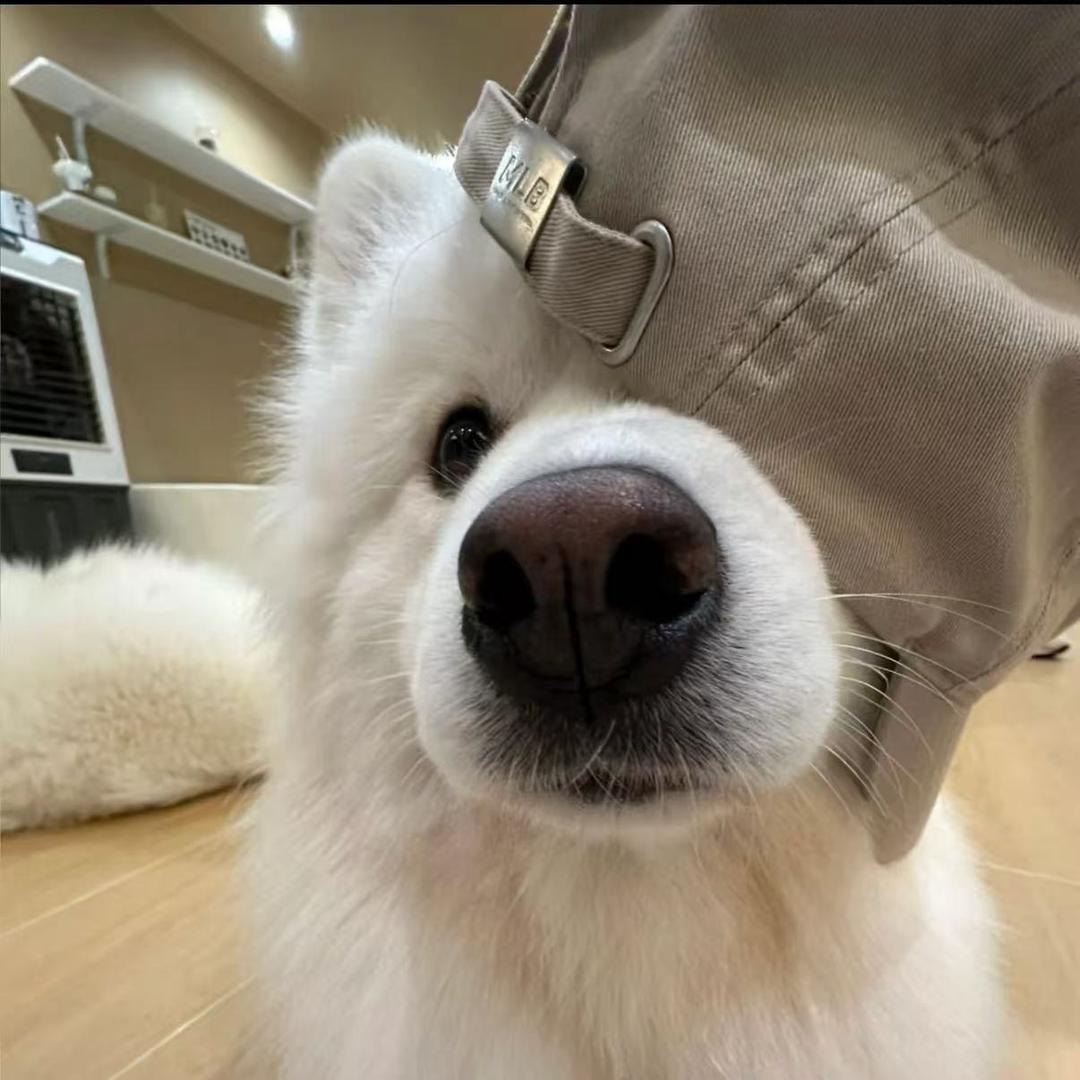 七点半