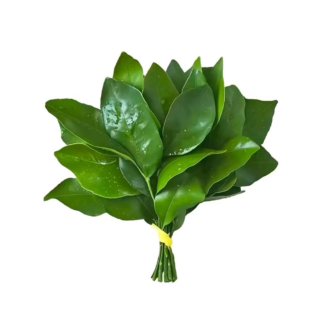 柚子有好运🍀