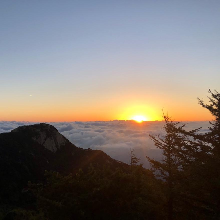 ❤️🀄️🈶️伱