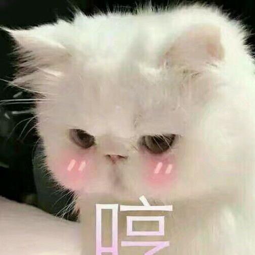 愿闻君语