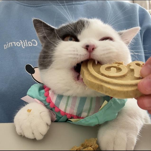 翠花的干饭频道