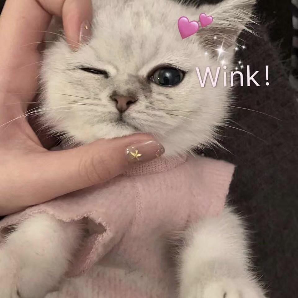 虎牙学妹