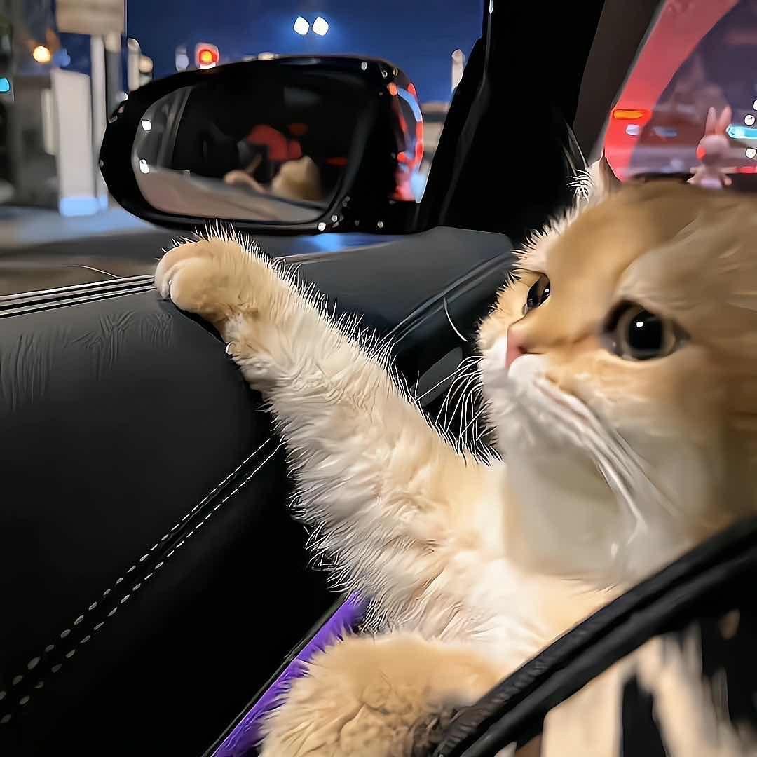 源阿