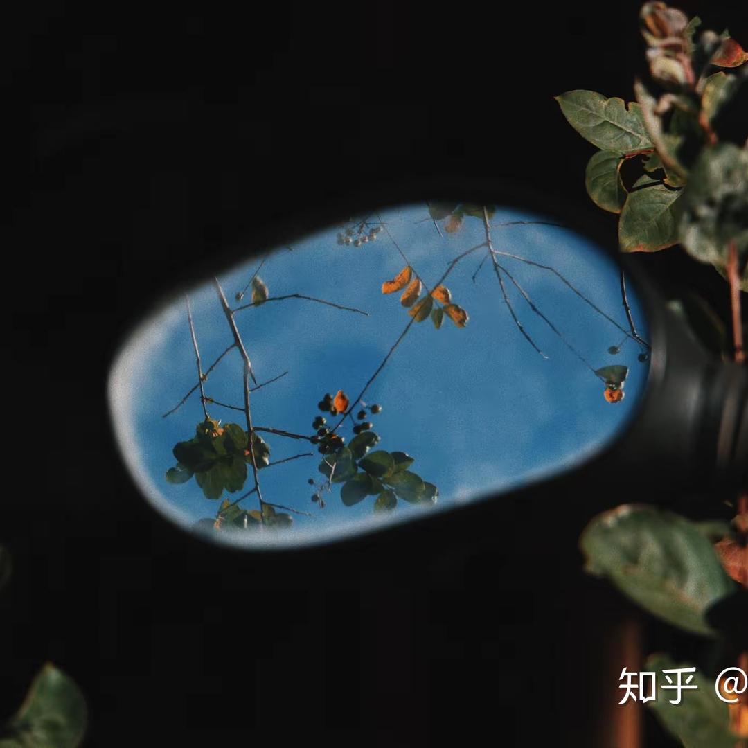 步步小布布头像
