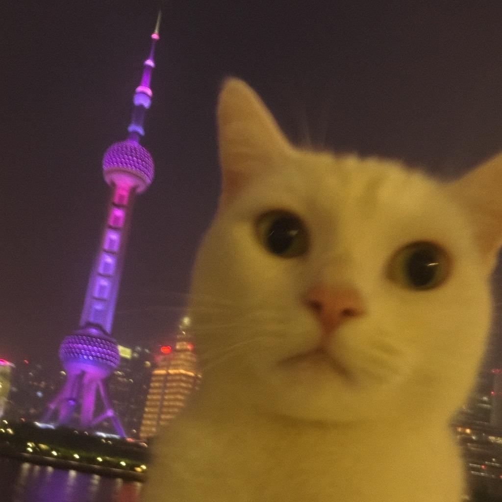 肥欧娜