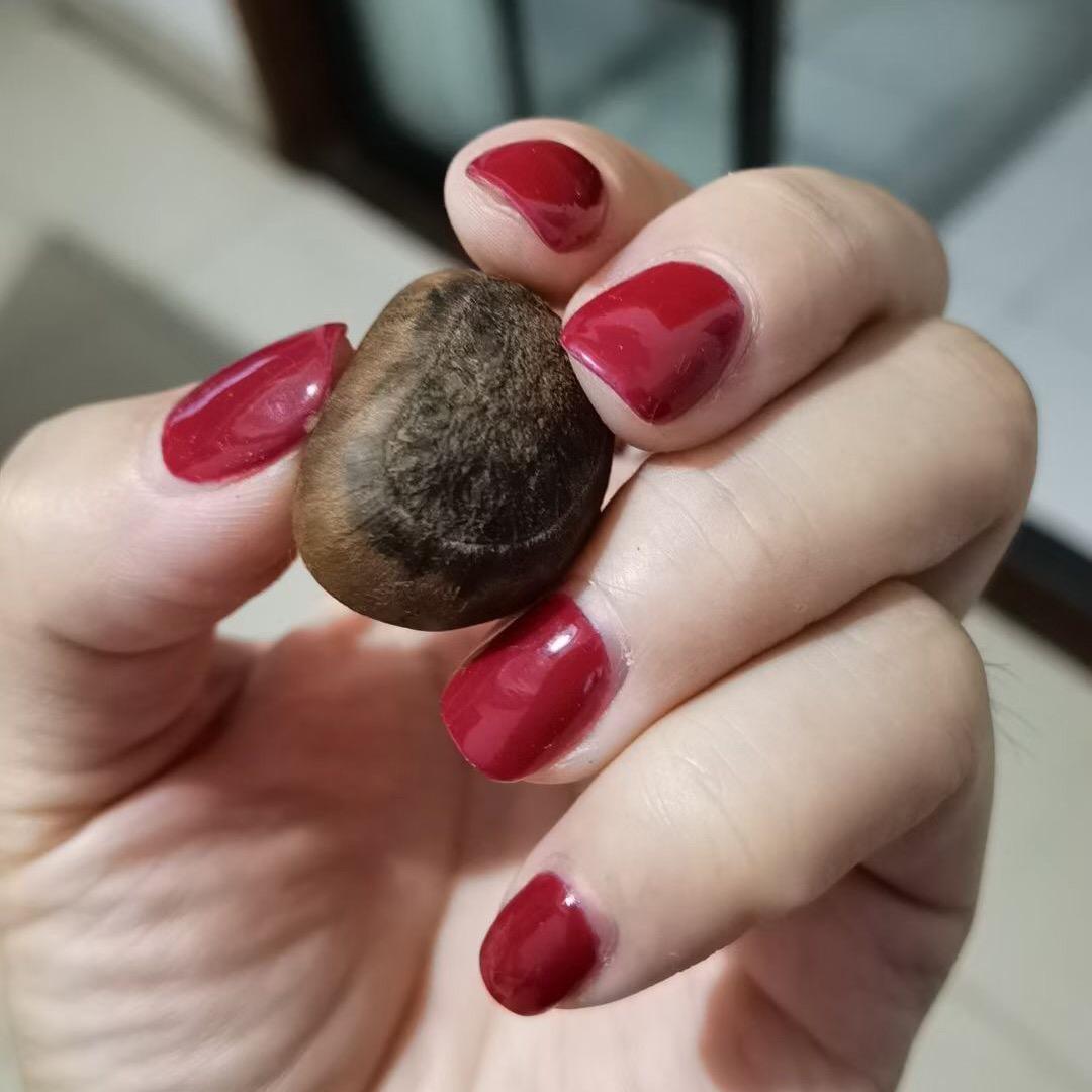 且随风