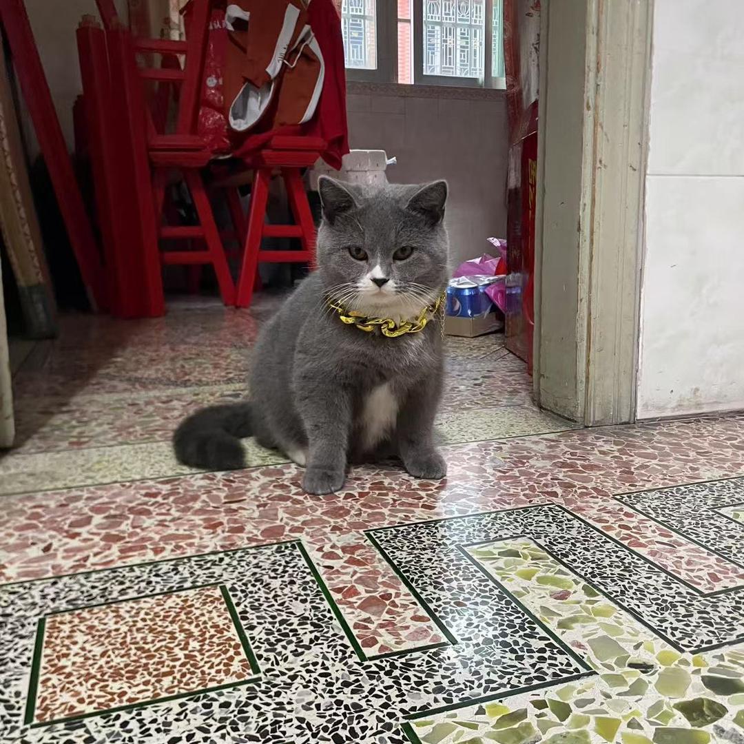 知足常乐