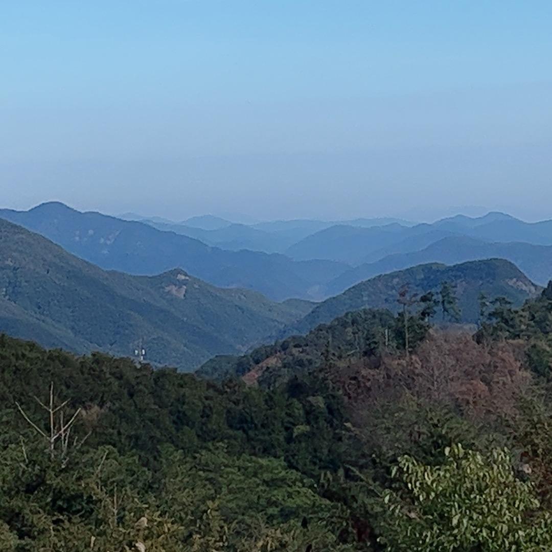 老陈