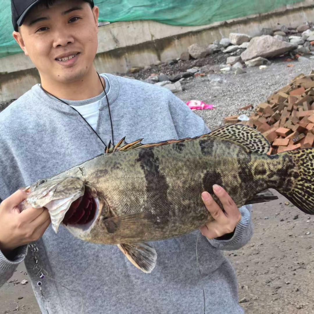 🌈葫芦娃爱路亚