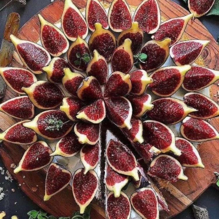 钢琴家的无花果