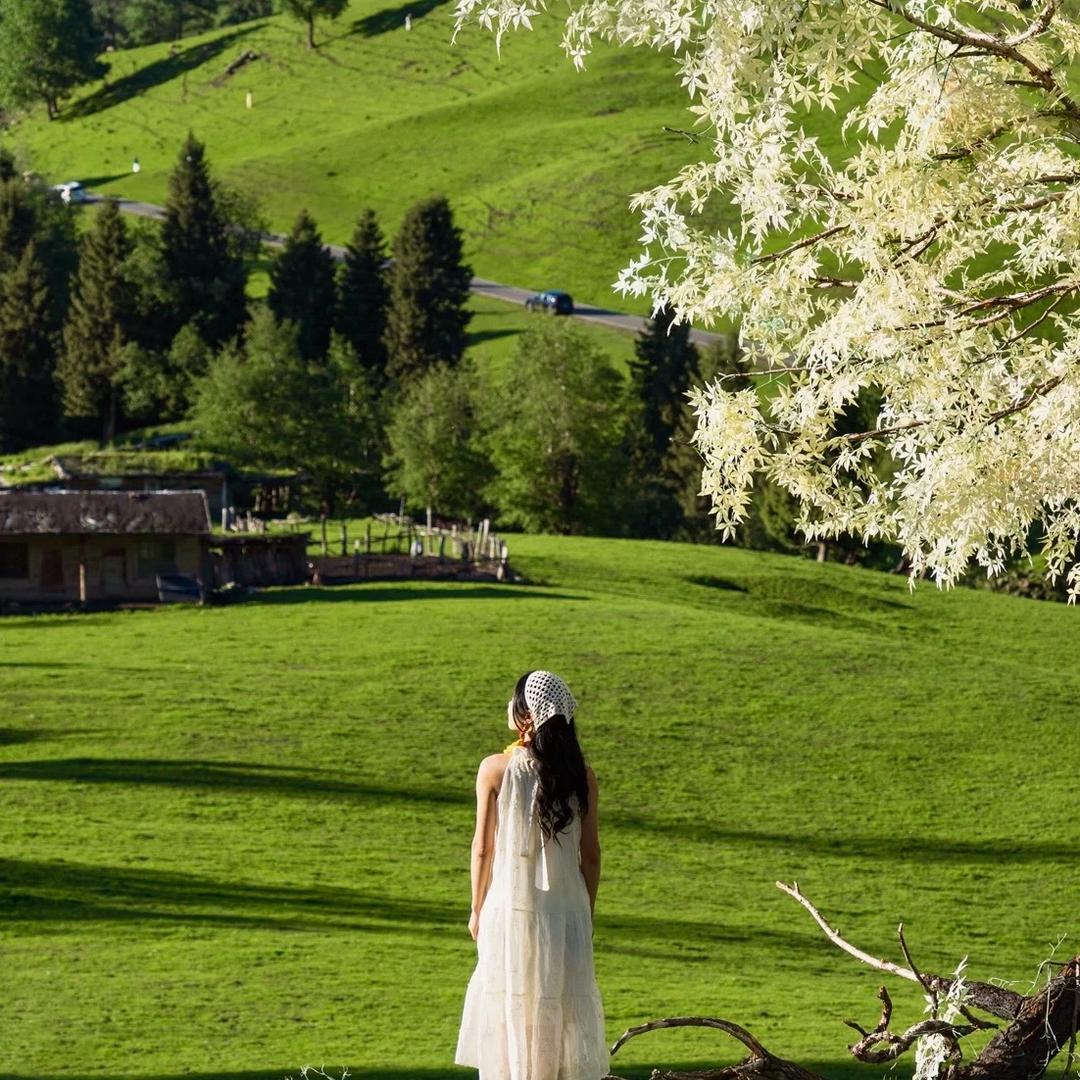 戴戴的旅行日记