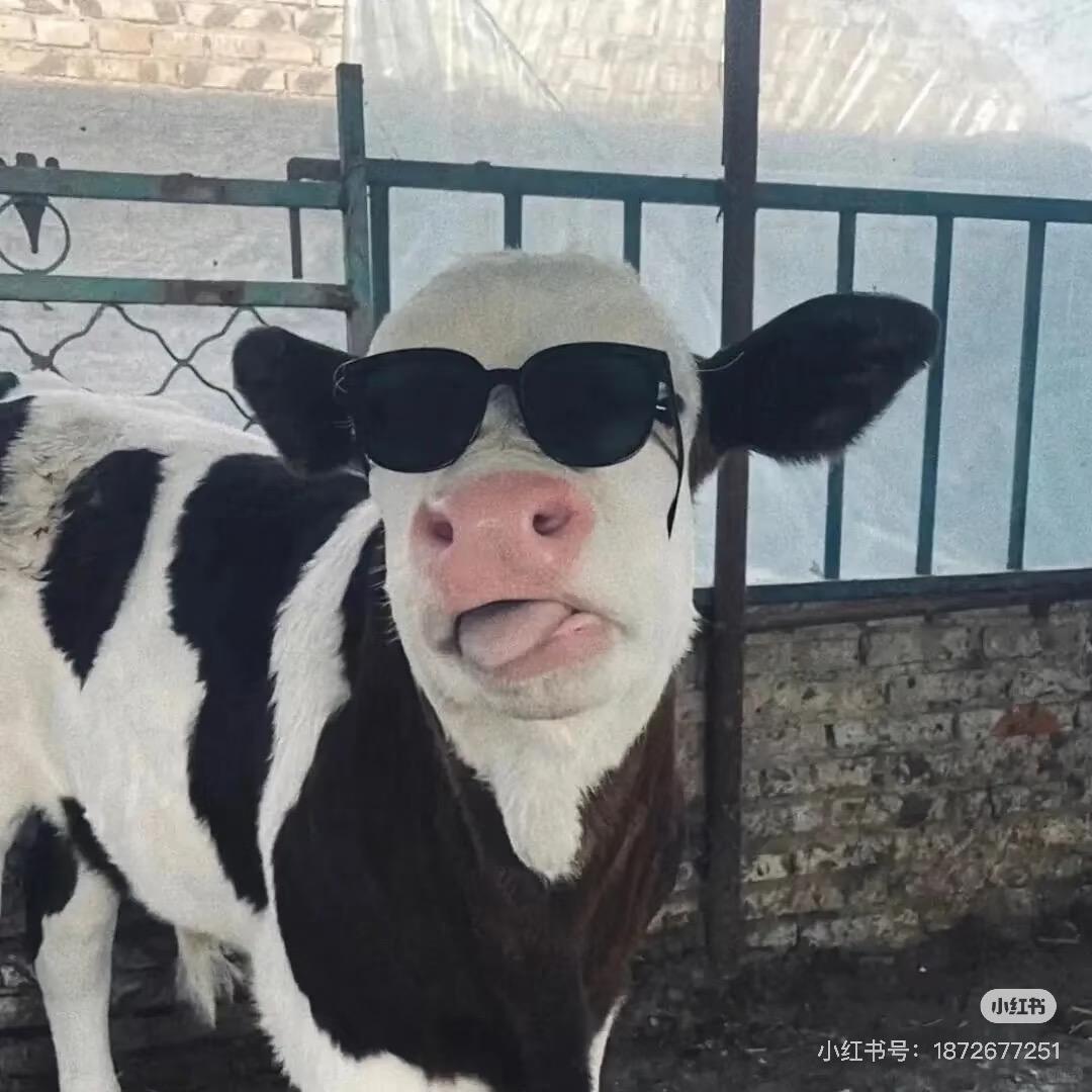 哈哈😂