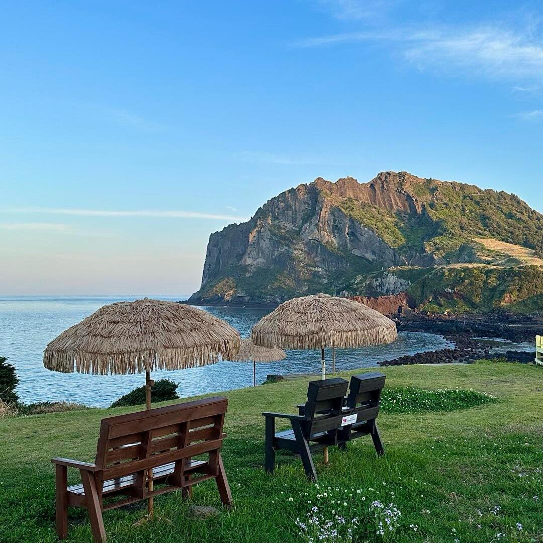 辣椒炒蛋追剧吧🏖️