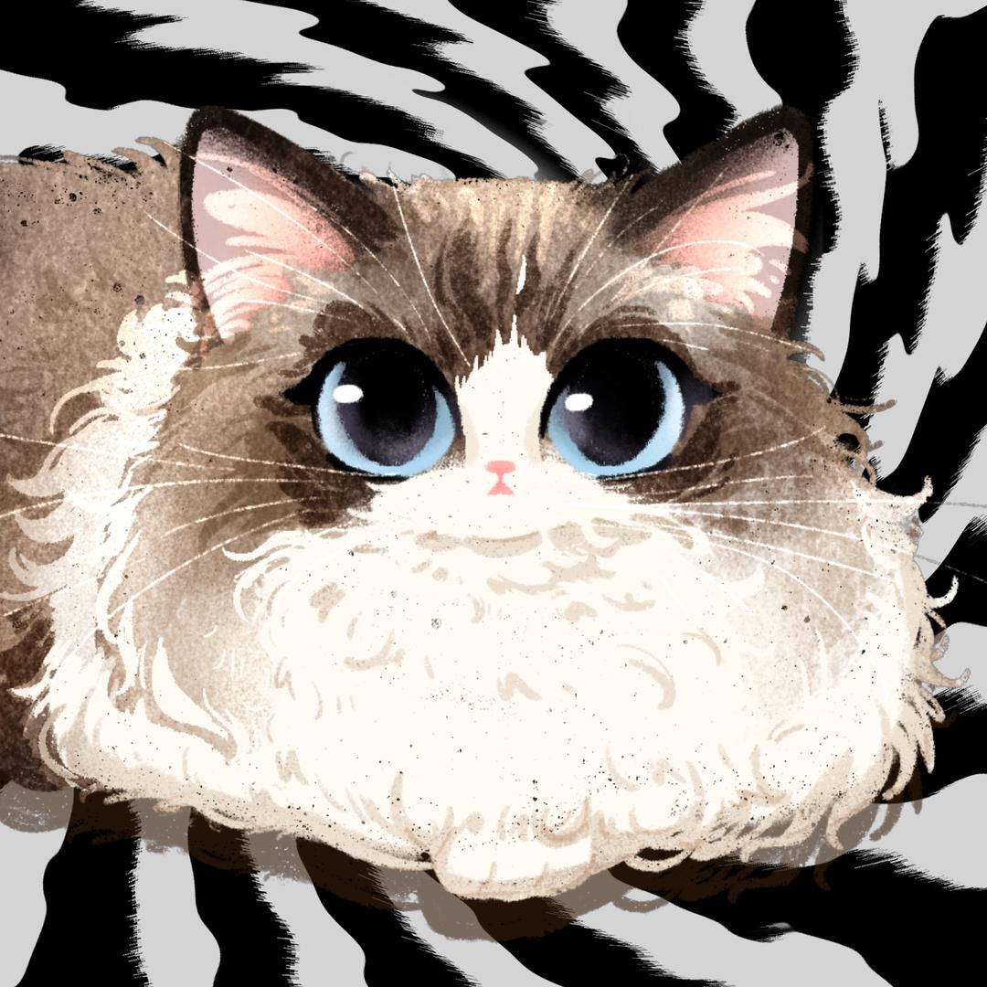 菜猫裹裹耶