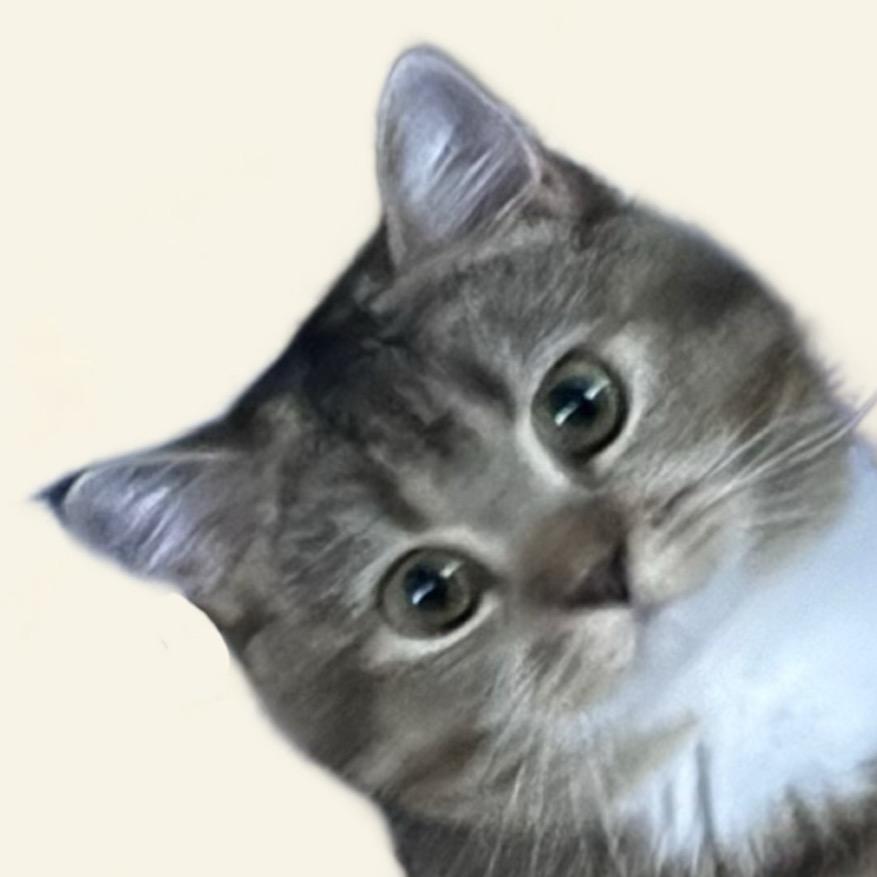 汤包