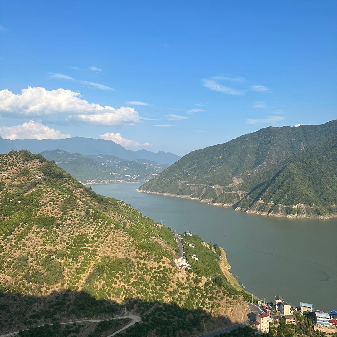 秋巡果蔬旗舰店