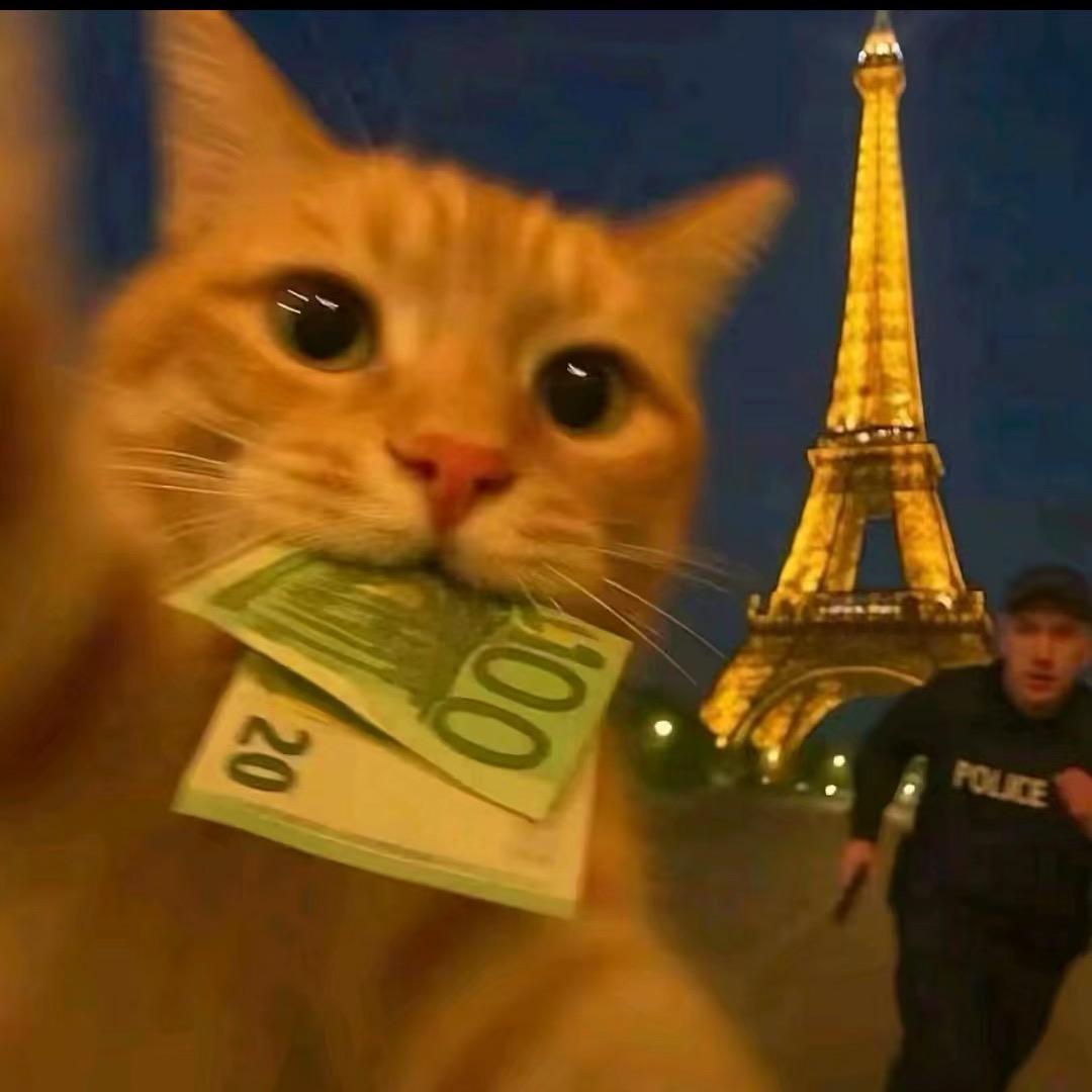 卖帅哥的小老怪