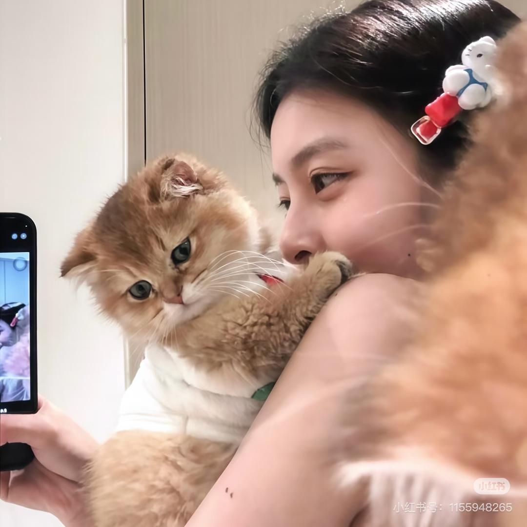 不吃香菜的小王
