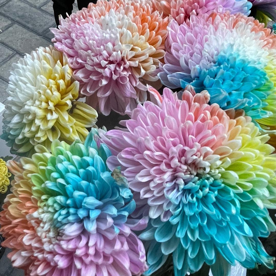 万万
