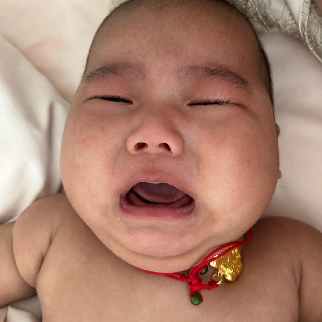 糊涂的图