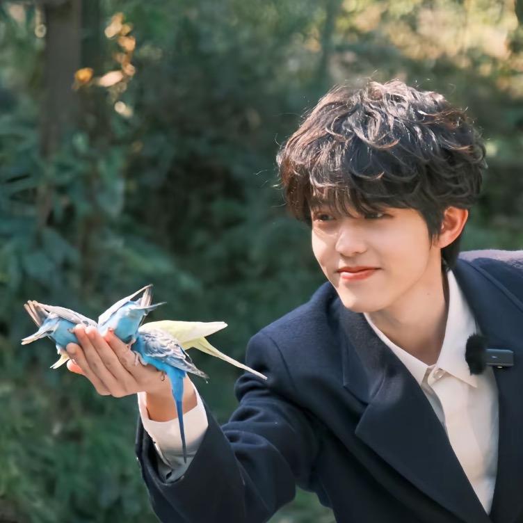 躁动的文艺女青年