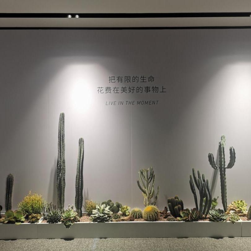 后花园