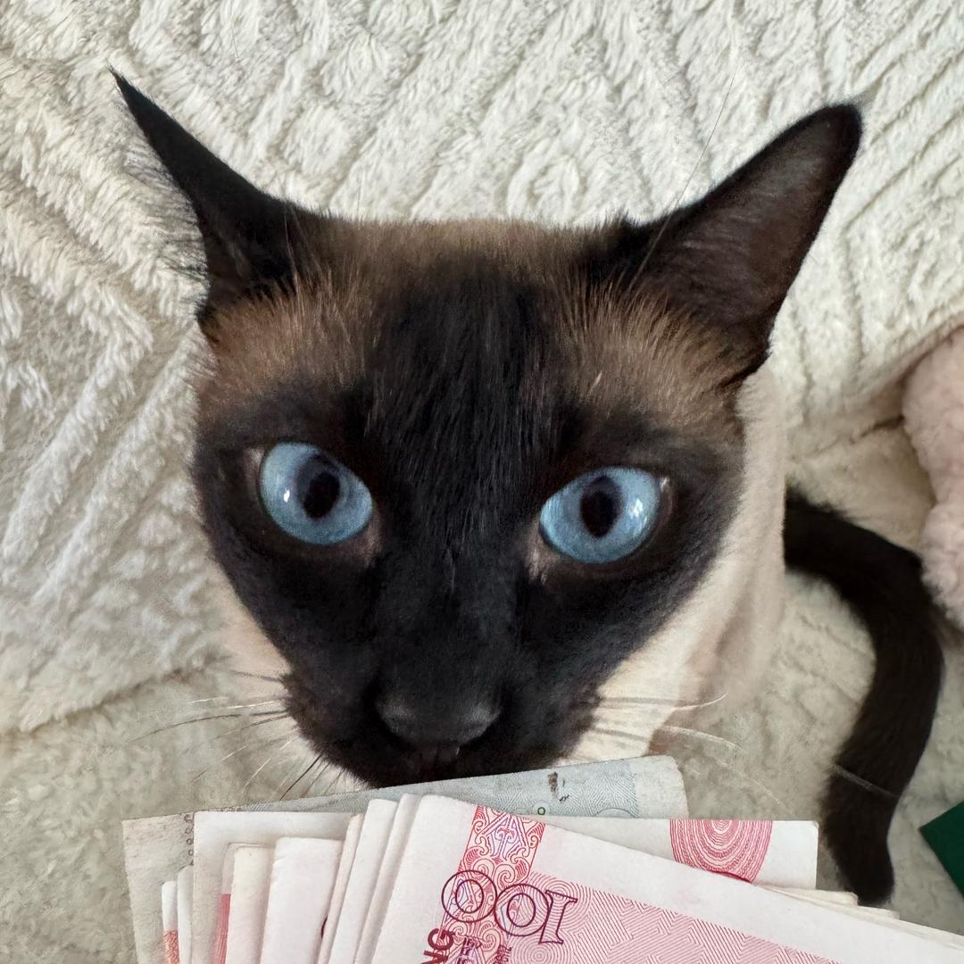 柳 如烟