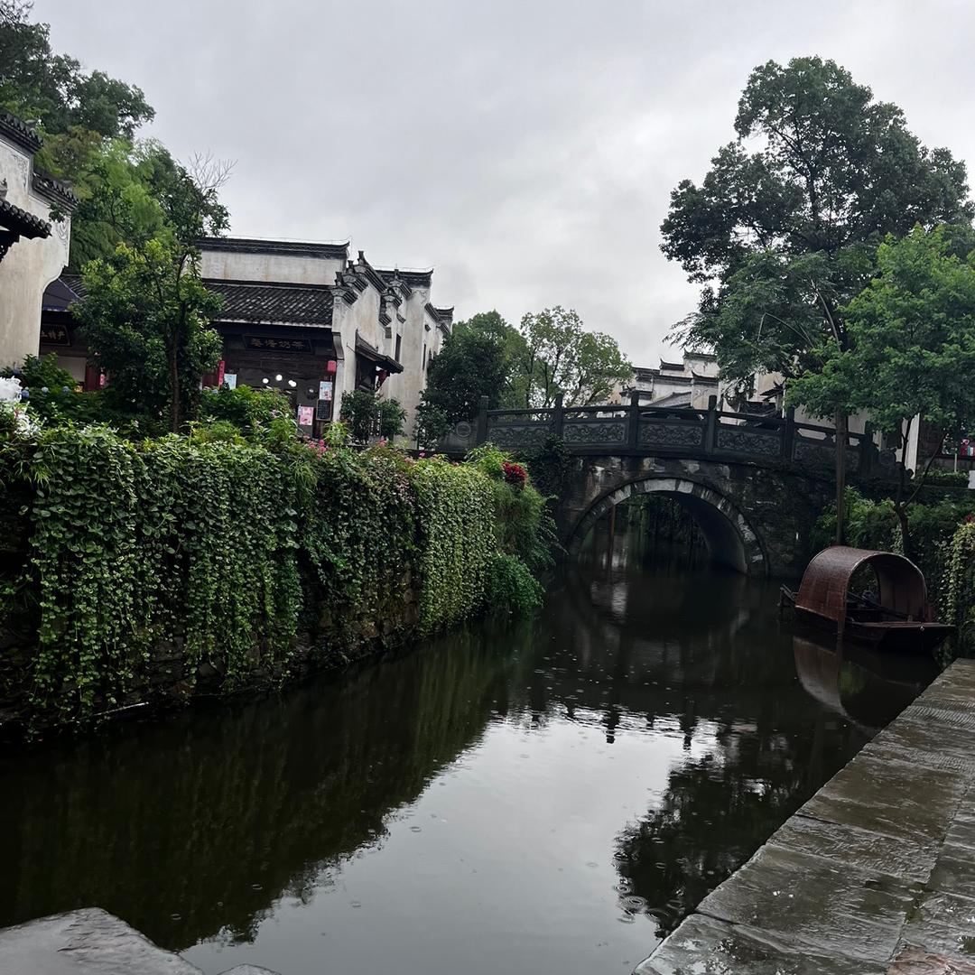 鸢.