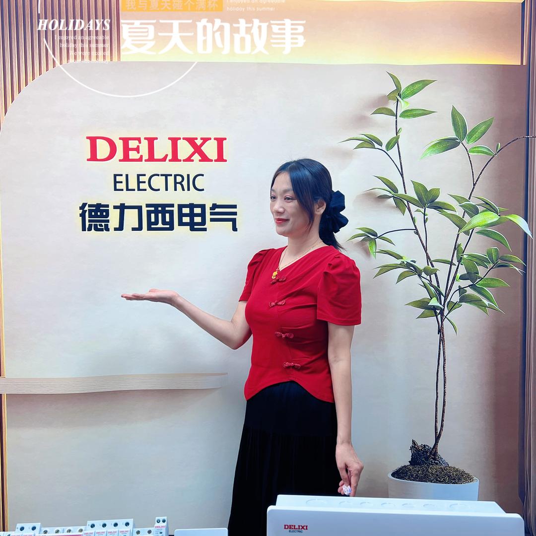 德力西电气斌驰电子电工店