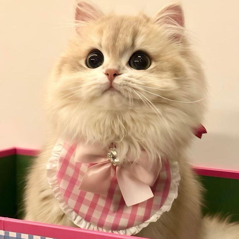 骑车上下班并吐槽