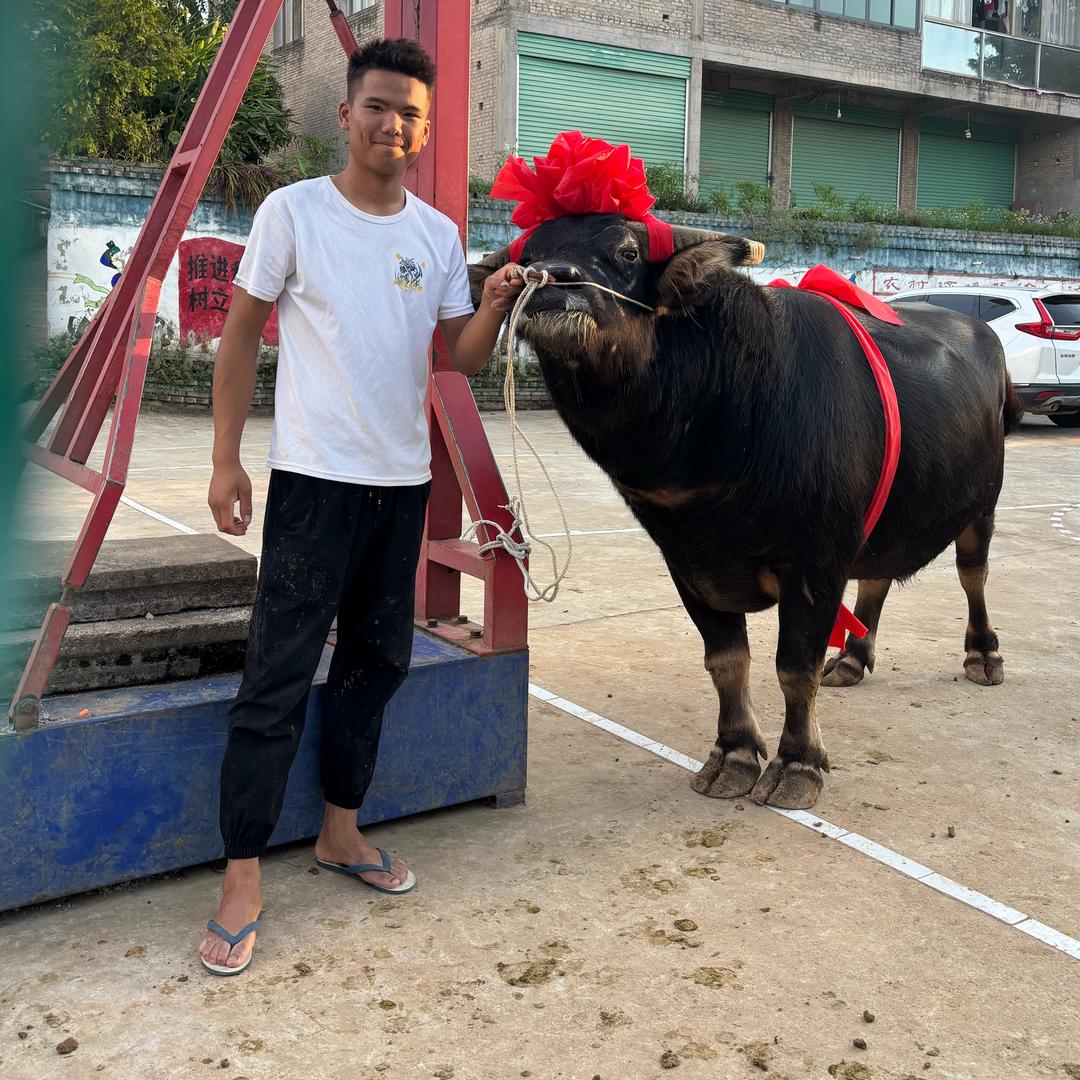 小瑞了嘛！🐃